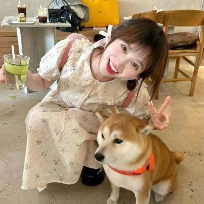 好人、巴特和洛基