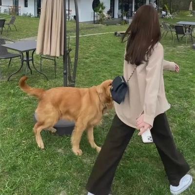 血溅小楼破碎心